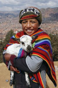 boy with lamb