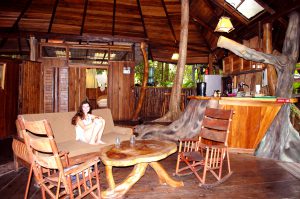 tree house living room 1