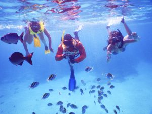 roatan-underwater-snorkel